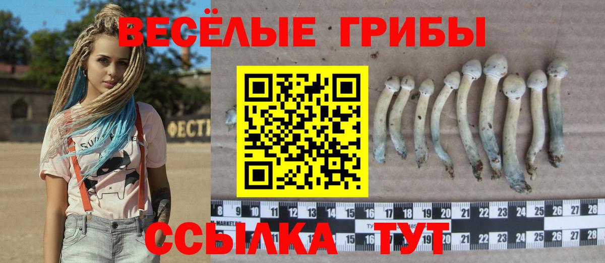 Псилоцибиновые грибы Cubensis Воскресенск